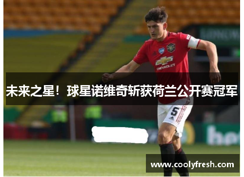 未来之星！球星诺维奇斩获荷兰公开赛冠军